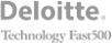 deloitte-technologo-fast-500